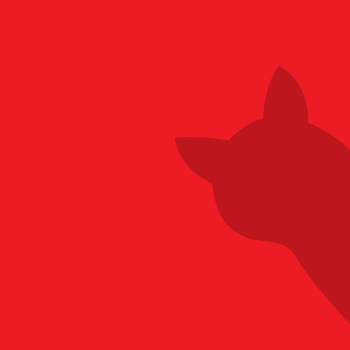 CSR Style Guide